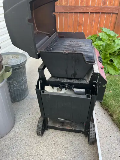 Propane BBQ, View more