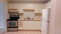 Large 1 bedroom apartment for rent 