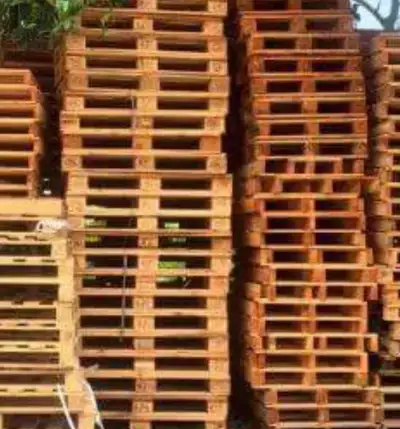 Pallets — FREE! Perfect for DIY projects or firewood. Pickup Monday to Friday, 7–4. Can’t make it? S...