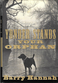 YONDER STANDS YOUR ORPHAN Barry Hannah 2001 Hcvr DJ 1st Edition