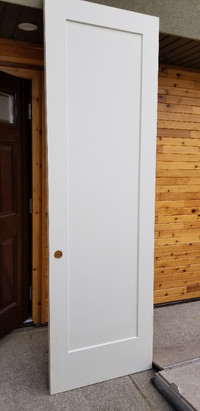 New Door slab 30" x 96"