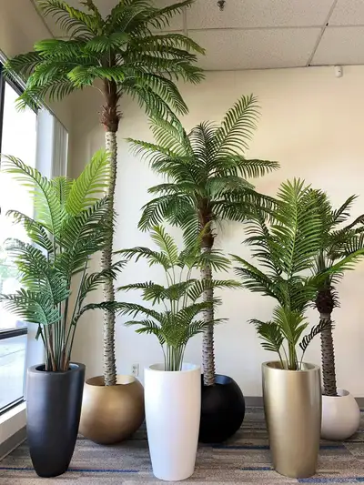 From $120 – Realistic Palm Trees for Any Space, View more
