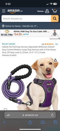 Dog Harness and leash Adjustable Reflective Easy Control Medium 