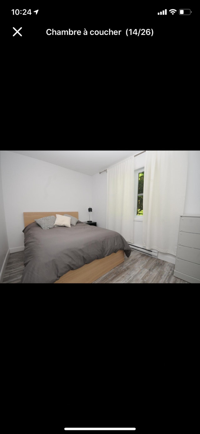 Chambre à louer — photo 3