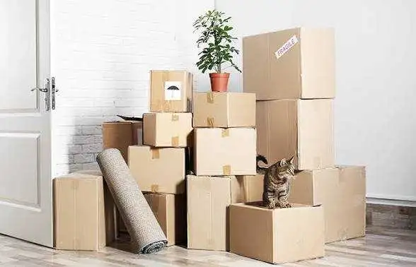 Mover for stuff
