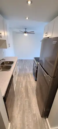 Mountain View - Newly Renovated - Pet Friendly