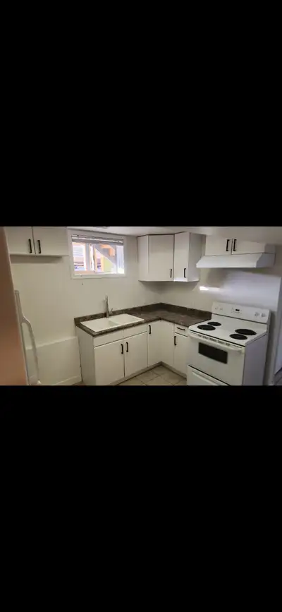 newly renovated 2 bedroom basement suite for rent .