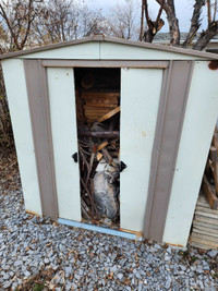 Woodshed with firewood