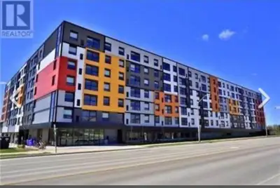 IMMACULATE BEDROOM FOR RENT IN A 4 BEDROOM CONDO UNIT IN GUELPH (SOLSTICE 1)! EACH ROOM COMES WITH I...