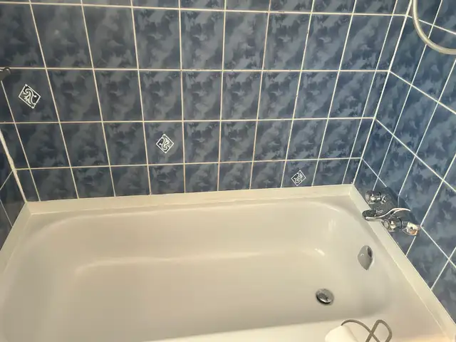 Professional Cleaning services566535489366282245