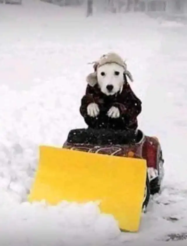  '26 & '27 24/7 SNOW SERVICE WINNIPEG ~ [( CITY WIDE ! )] ⛄️ ❄️ 