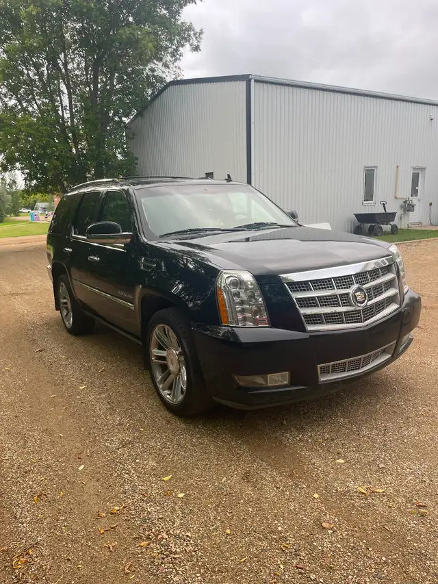 2012 Escalade Platinum551125938162913283