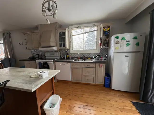 Trent/Fleming Student Rental for 3 in Room Rentals & Roommates in Peterborough - Image 5