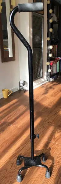 Walking Cane with 4 legs