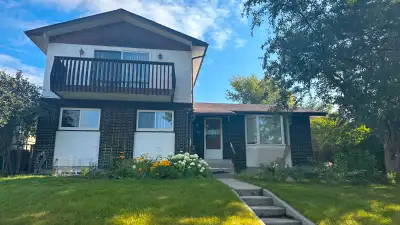 Beautiful new inner-city legal suite in sought-after Cambrian He