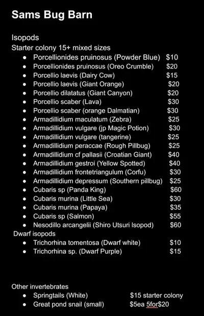 Isopods and more!!, View more