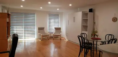 Summer in Montreal! Large Studio for Rent near Parc La Fontaine