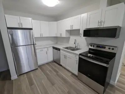 2 Bedroom 1 Bath Apartment - Munroe Ave