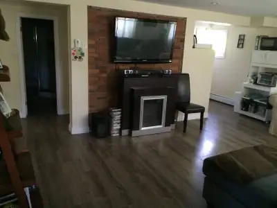 Dog Friendly all inclusive 2 bedroom apartment for rent.