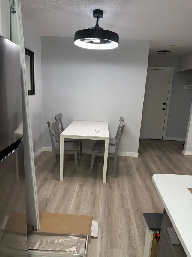 Renovation491796813652971526