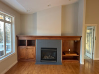 Gas fireplace for sale