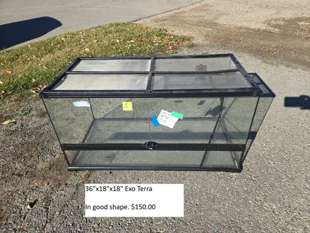 DVRR Semi-Annual Sale! | Reptiles & Amphibians for Rehoming | Red Deer ...