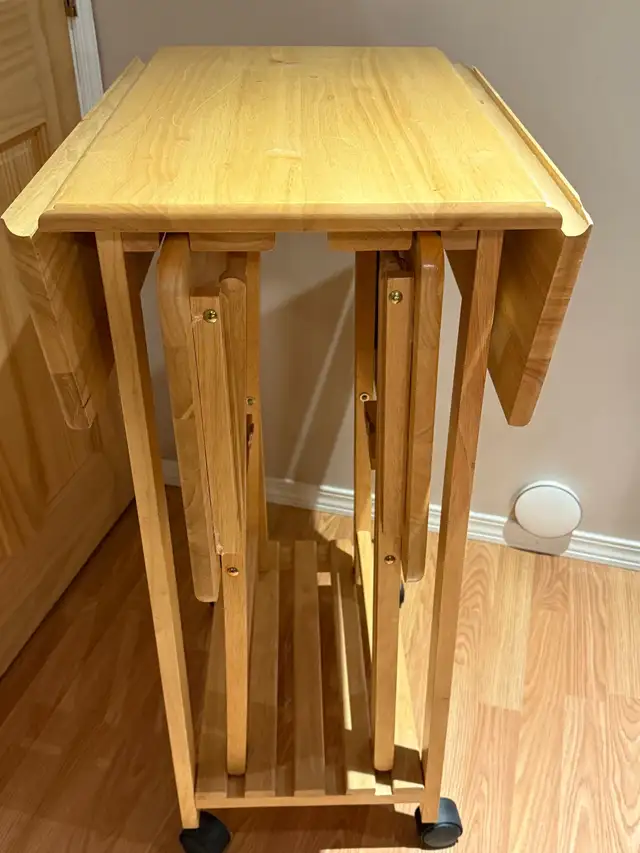 TV trays (4) + foldable serving stand. rare. unique. $9964520005450113123