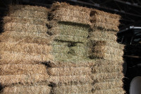 SMALL SQUARE BALES HAY FOR SALE