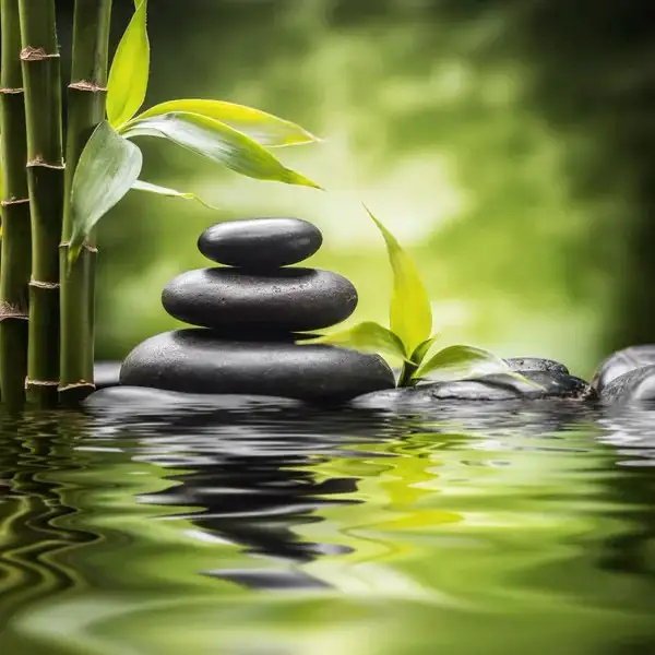 Massage Therapy Mascouche633733902860831217