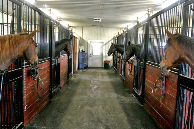 Hobby farm with stable and indoor arena dans Maisons à vendre  à Sherbrooke - Image 2