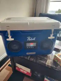 Pabst Edition - Guardian Cooler with Built-in Bluetooth Speakers