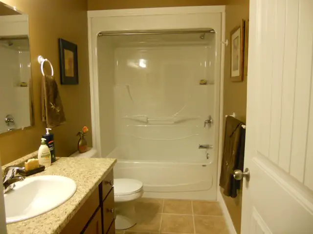 LOOKING FOR A PAINTER YOU CAN TRUST ?582838694530273287