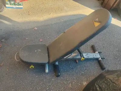 Get ready to elevate your home gym with this Hoist adjustable weight bench, perfect for various stre...