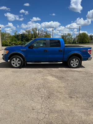 2009 Ford F 150 FX4