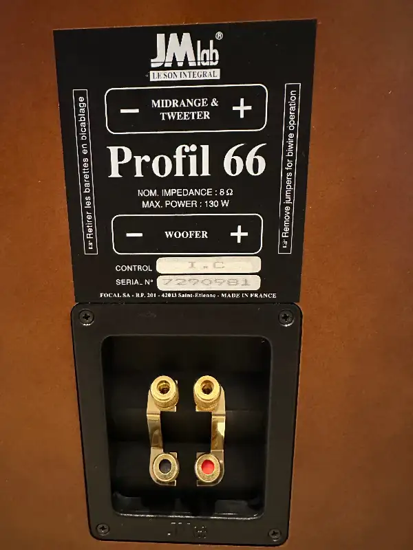 Speaker in Speakers in Markham / York Region - Image 6