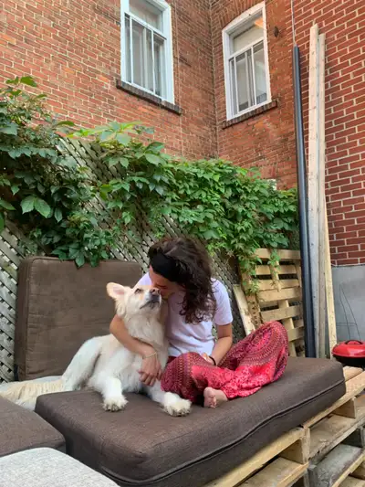 DOG SITTING/ PET SITTING, View more