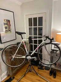 Vintage Miele Tournet Road Bike with new components