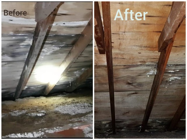 ATTIC MOLD REMOVAL , CERTIFIED FROM $500, (647-451-0493) in Other in Oakville / Halton Region - Image 3