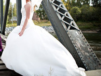 PRICE REDUCED Beautiful Sophia Tolli Wedding Dress 