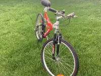 Mountain bike, good condition