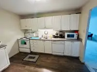 One bedroom available for rent for female - Location downtown 