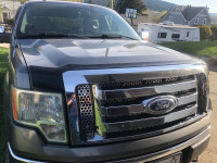 2009 Ford truck