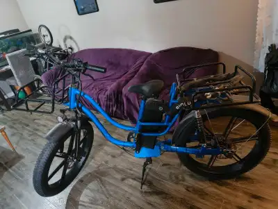 This is a cargo e-bike. Not shown in the pictures is too large carrying containers that fit into the...