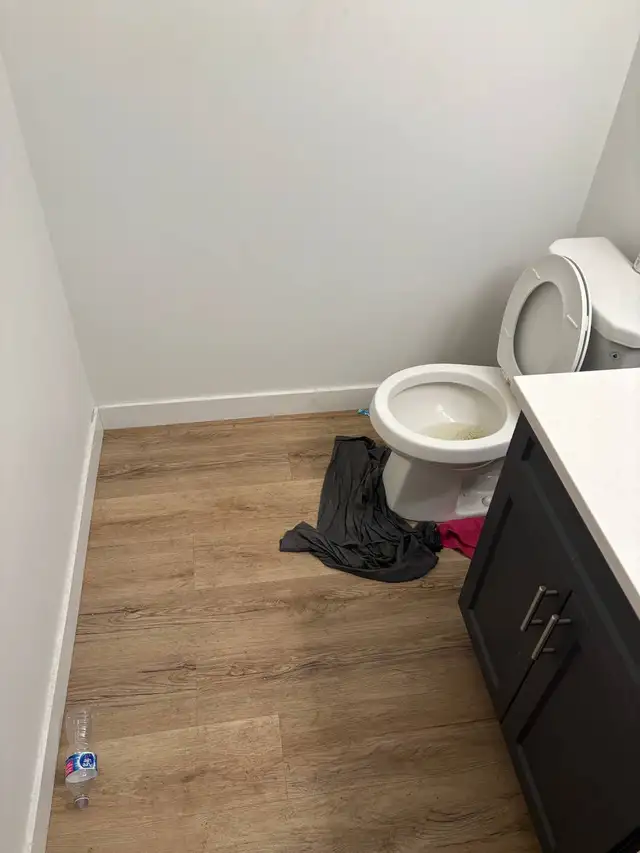 Cleaning551126007871580161