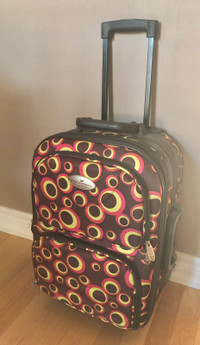 MINI /Carry-On Luggage ---OR---GARMENT BAGS