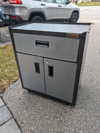 Gladiator 31-inch H x 28-inch W x 18-inch D Steel 2-Door Cabinet