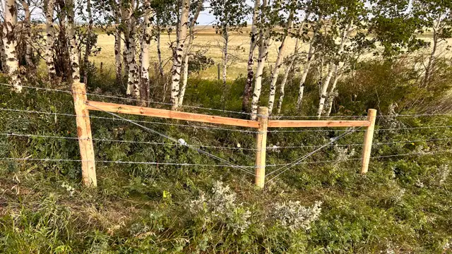 Custom fencing 63581887569025121