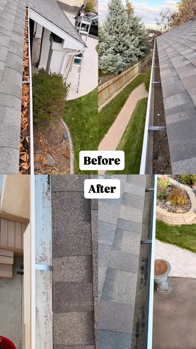 Gutter Cleaning & Downspout Services64639723544963120