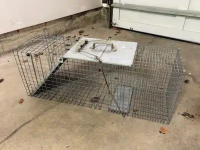 Live Animal Trap 32 x 10 x 12, View more