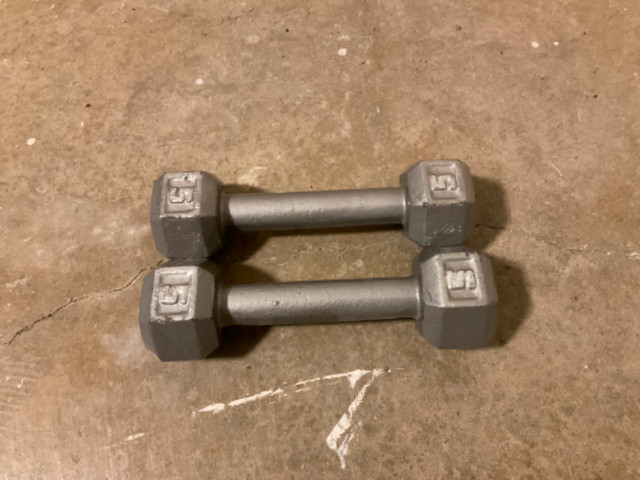 5 lb Dumb bell  set in Exercise Equipment in Campbell River